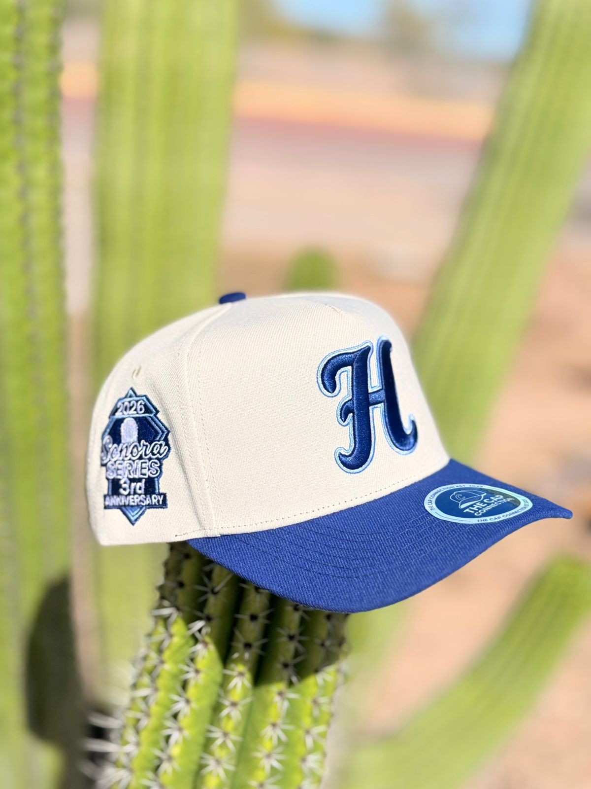 HERMOSILLO SERIES